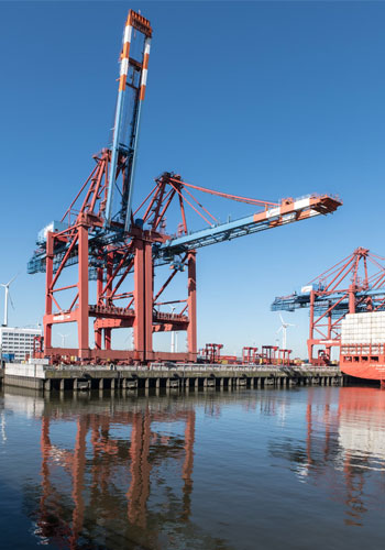 Your Trusted Merchant Trading Partner for Agro Products